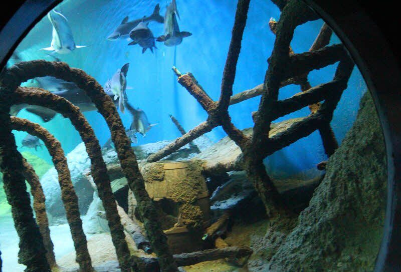 Океанариум в Паттайе (Underwater World Pattaya)